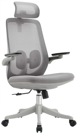 executive_series_11_2